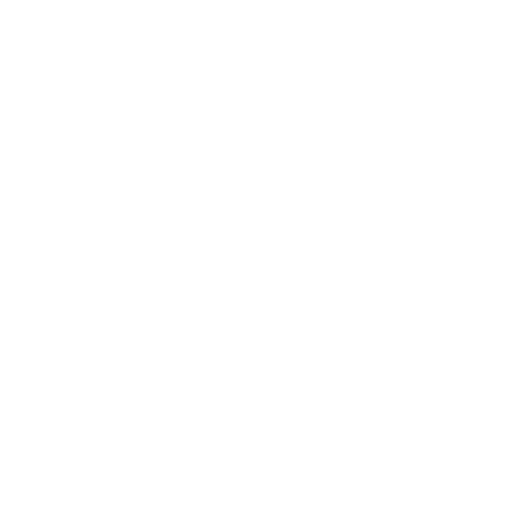 Icône camion